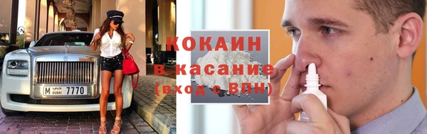 гидра Богородск