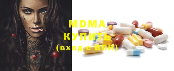 гидра Богородск
