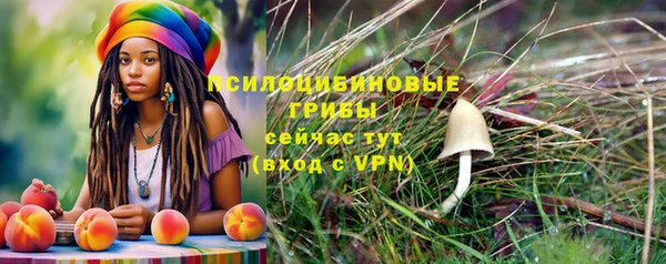 гидра Богородск