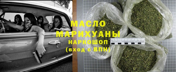 гидра Богородск