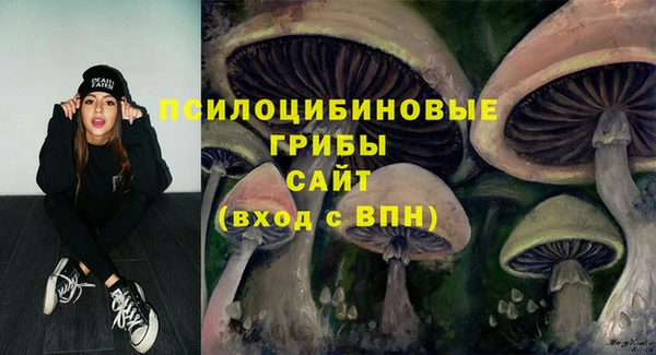 гидра Богородск