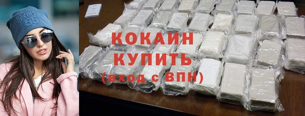 гидра Богородск