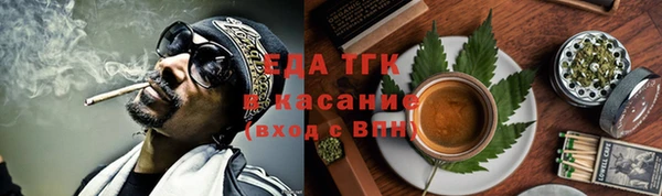 гидра Богородск
